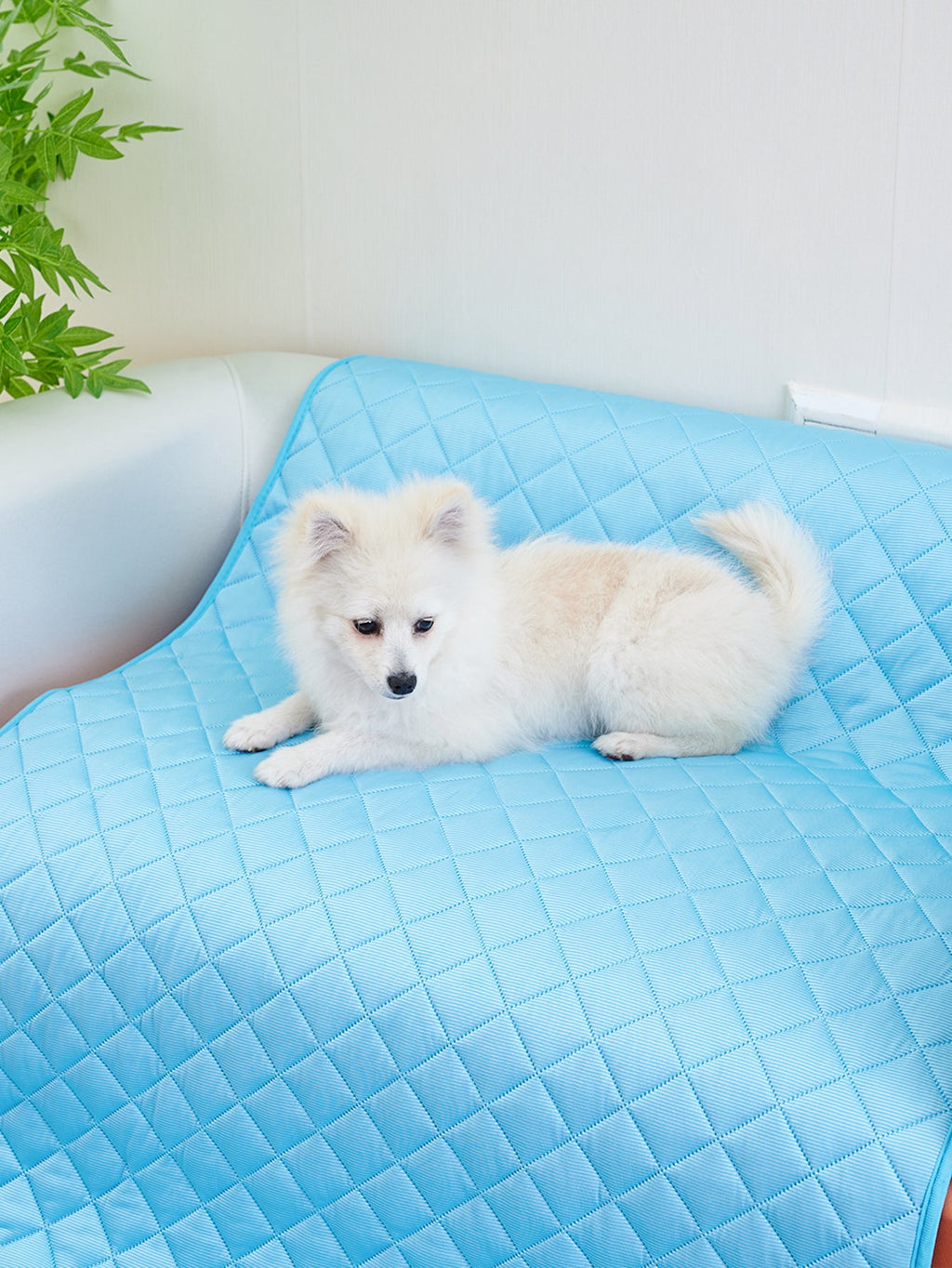 cfbce4374079b3c067a1f2fe83ea664c